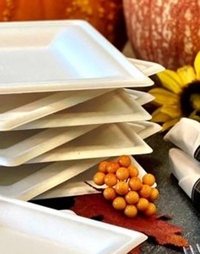 Compostable Sugarcane Place Settings eco-friendly catering Denver