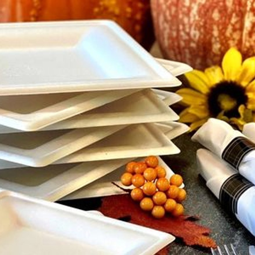 Compostable Sugarcane Place Settings catering Denver